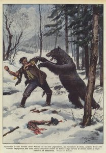 Attacked in a Polish Forest by a Gigantic Bear, a Poacher